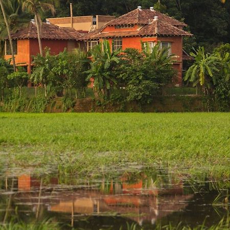 Mynaakom Villa Kochi Exterior foto