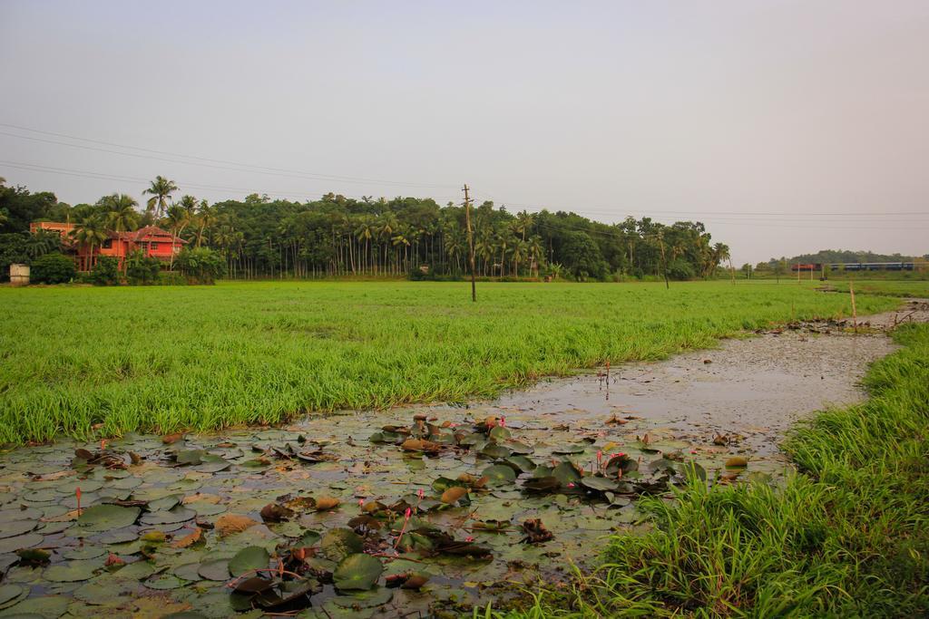 Mynaakom Villa Kochi Exterior foto